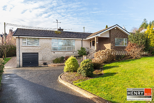 10 Annaghmakeown Road, castlecaulfield, BT70 3DQ