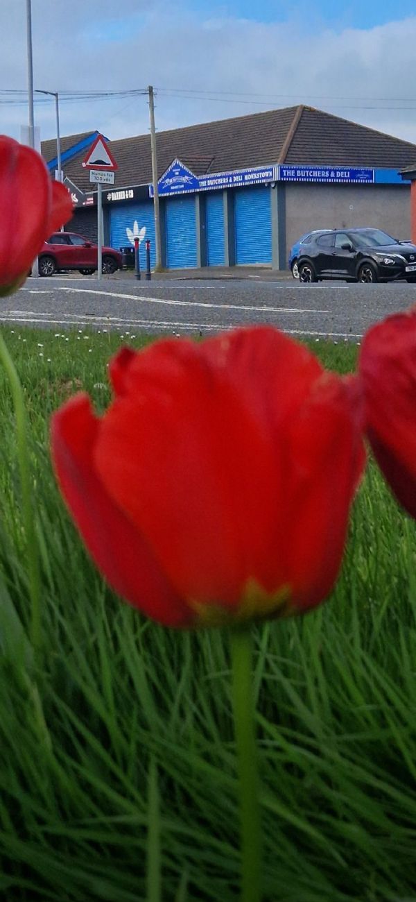 The Butchers Monkstown