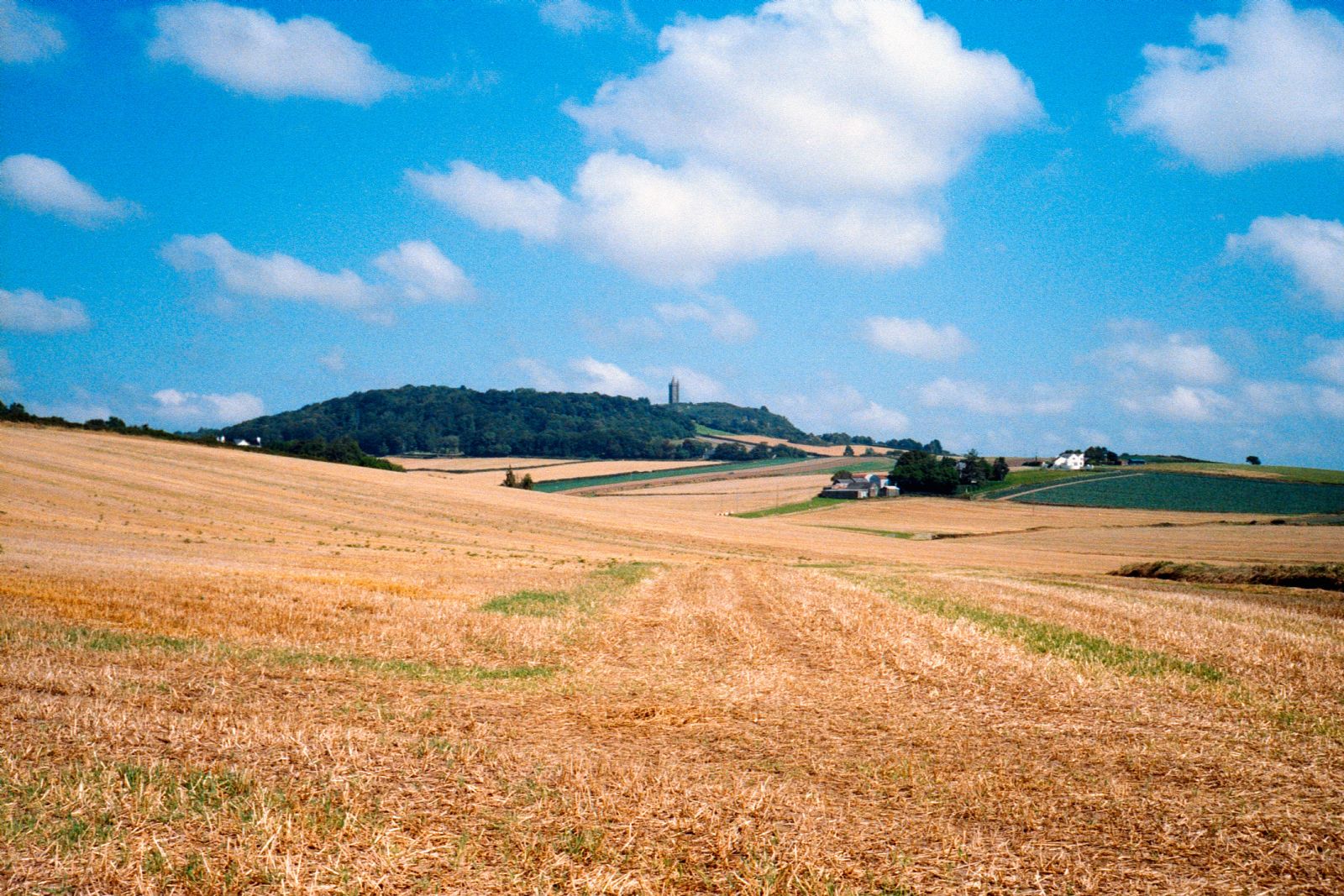 comber Area Guide HomesNI