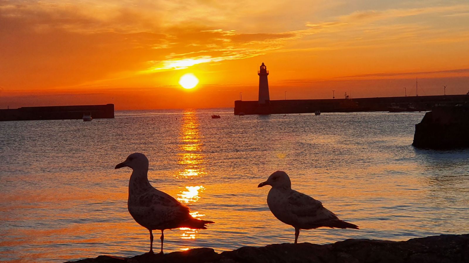 donaghadee Area Guide HomesNI