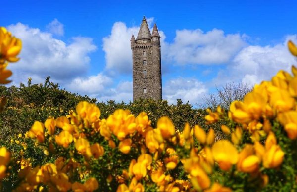 Scrabo Tower by Boyce ED