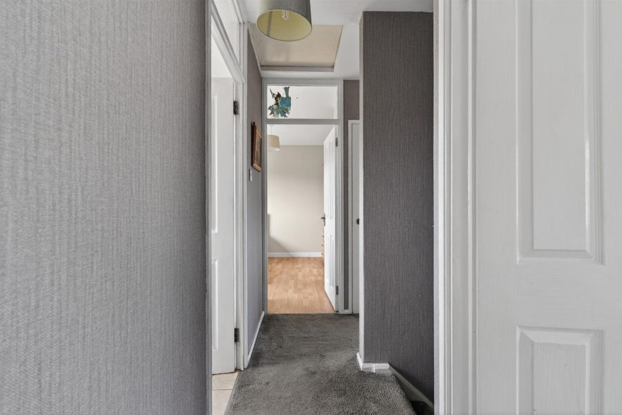 117 Finaghy Road South