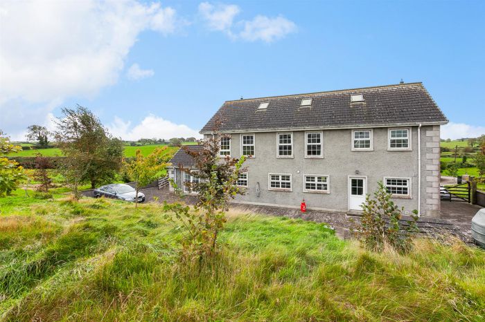 95 Drumlough Road