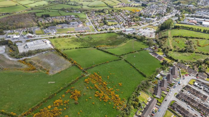 Development Land Belfast Road