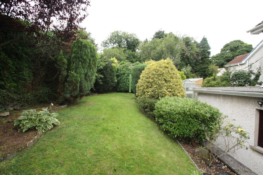 5 Pine Grove