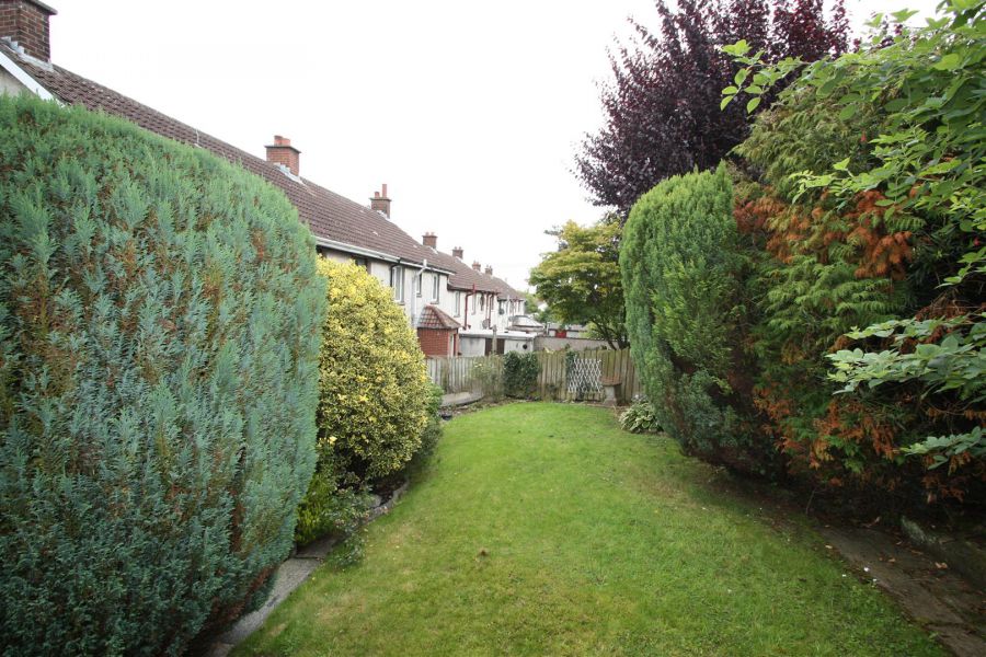 5 Pine Grove