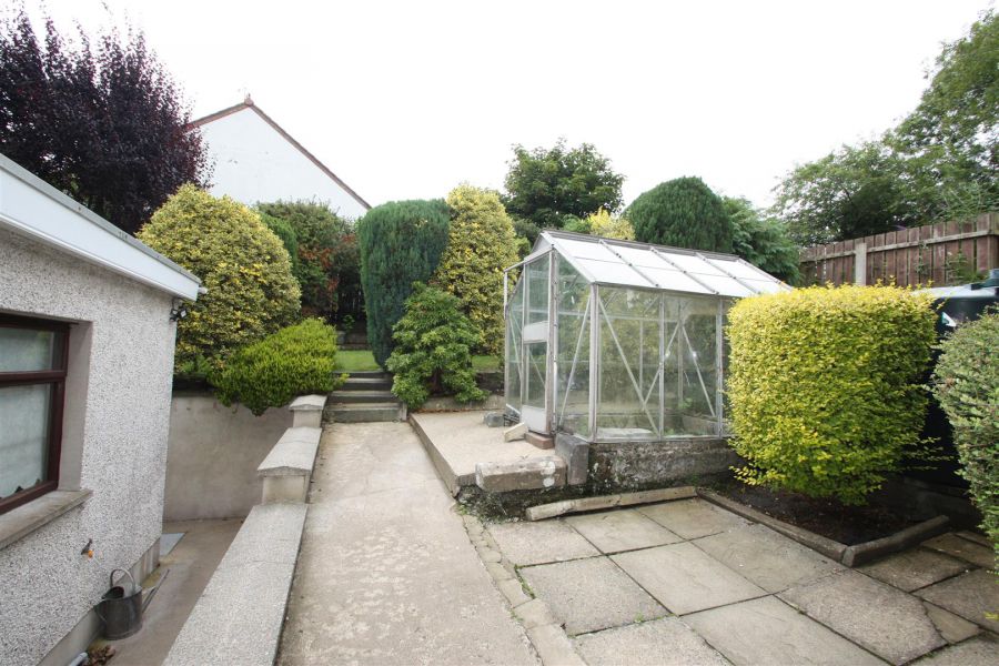 5 Pine Grove