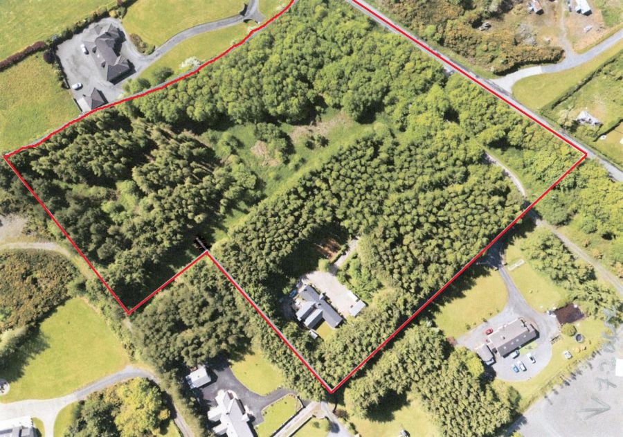 49 Crawfordstown Road
