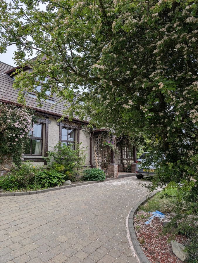 63 Katesbridge Road
