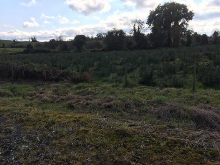 Crom Road