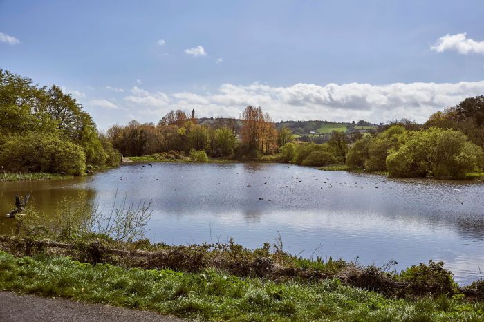 6 Milecross Manor 6 Milecross Manor