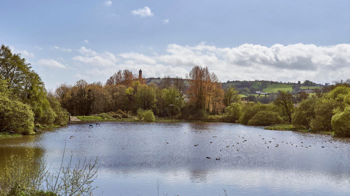 6 Milecross Manor 6 Milecross Manor