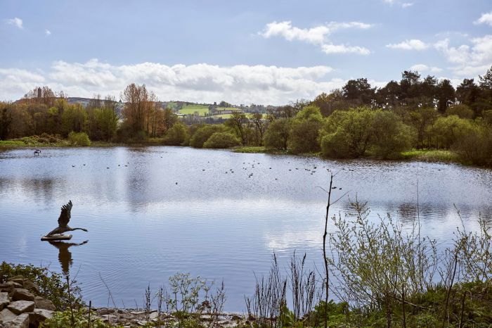 6 Milecross Manor 6 Milecross Manor