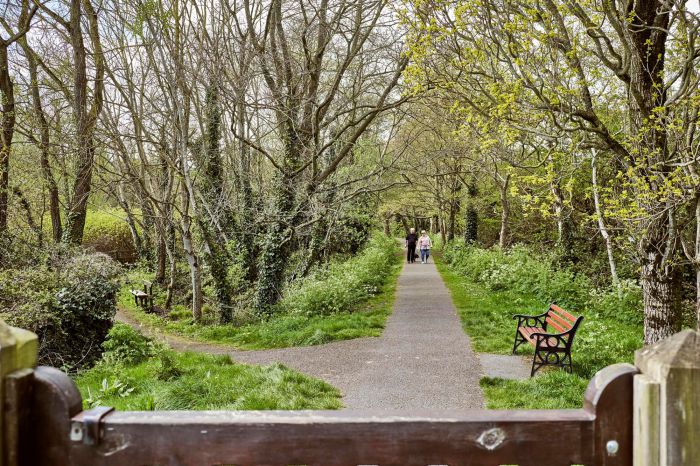 6 Milecross Manor 6 Milecross Manor