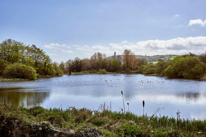 6 Milecross Manor 6 Milecross Manor