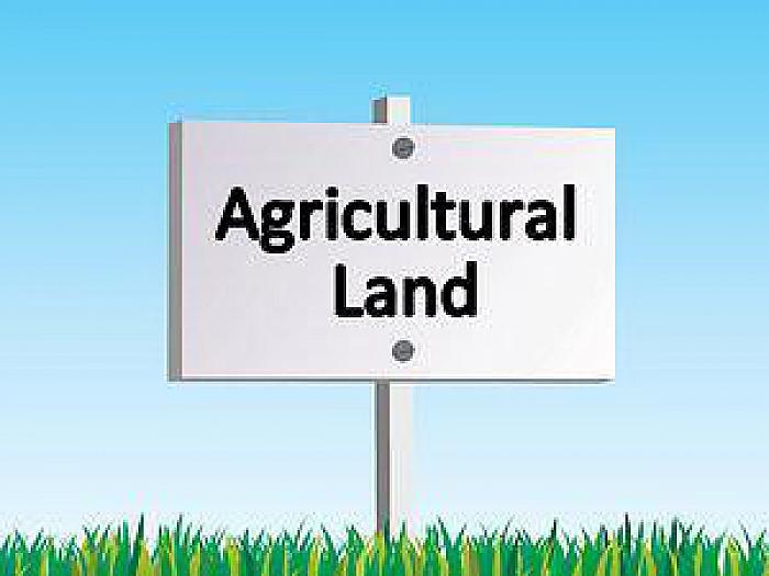 33 Acres High Quality Agricultural Lands, 34 & 34A Quarterland Road 33 Acres High Quality Agricultural Lands, 34 & 34A Quarterland Road
