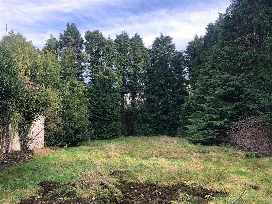 Development Site at, 202 Killinchy Road