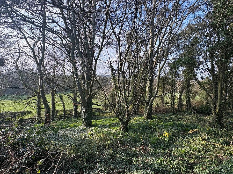 Cuan Hills Farm, 39 Killinakin Road