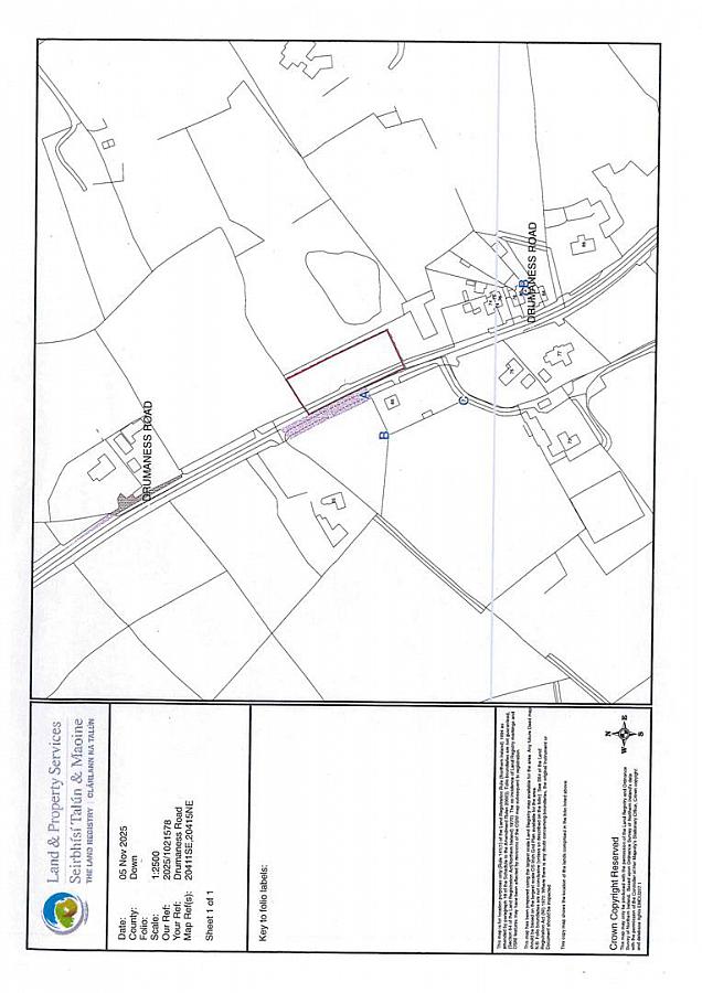 Agricultural Lands Opposite 69 Drumaness Road