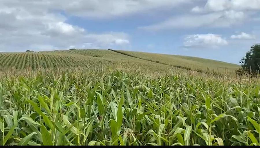 High Quality Arable Lands, Junction Of Ballynoe Road & Old Course Road