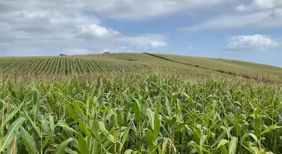 High Quality Arable Lands, Junction Of Ballynoe Road & Old Course Road