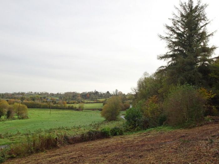 Samsonagh Road