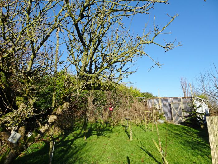 41 Cloghcor Road