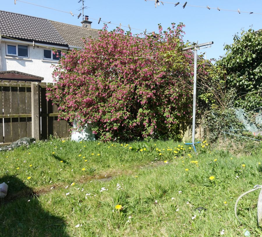 13 Kilmacormick Close