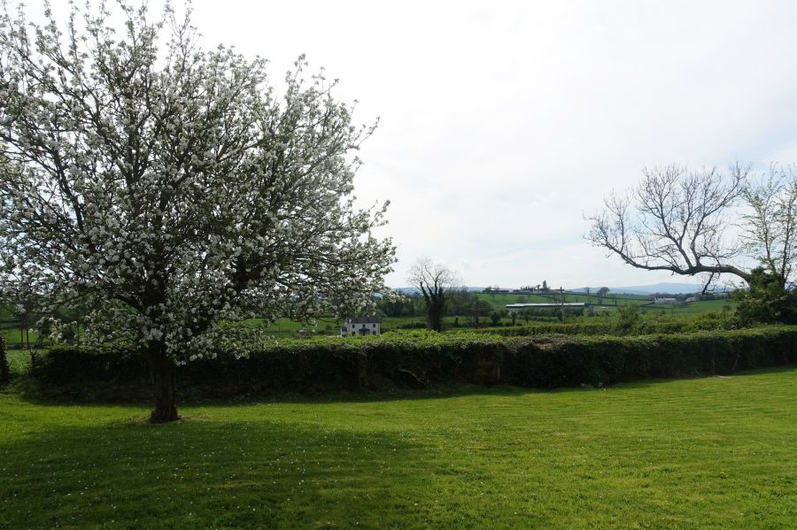 6 Screevagh Road