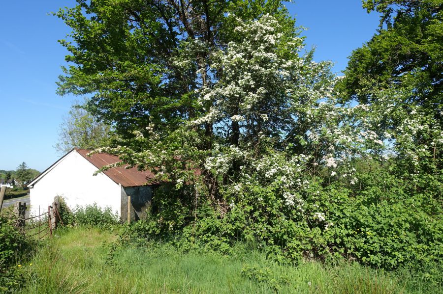 30 Metres North Of 160a Belfast Road