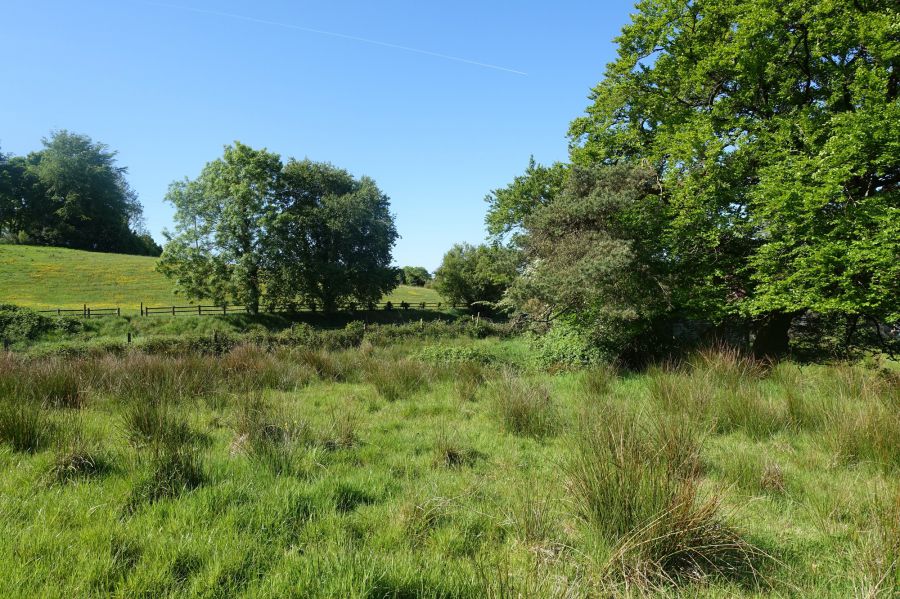 30 Metres North Of 160a Belfast Road