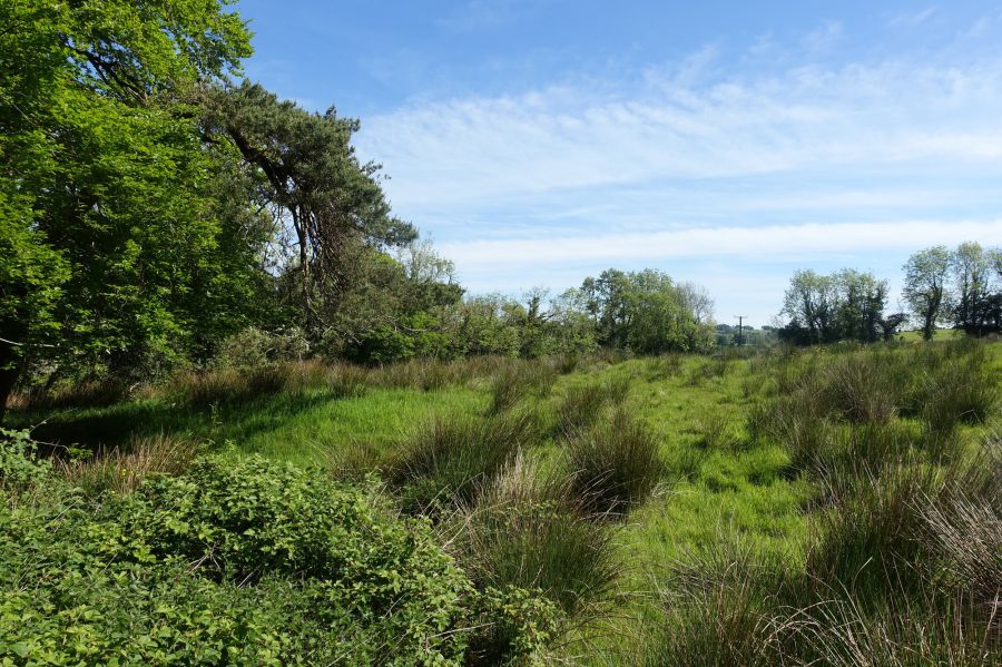 30 Metres North Of 160a Belfast Road