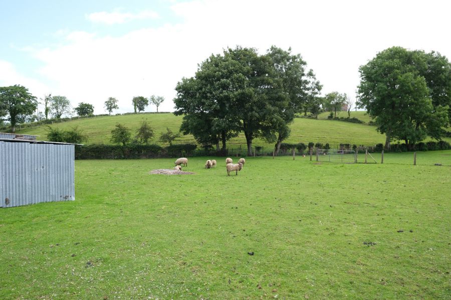 41 Clarnagh Road
