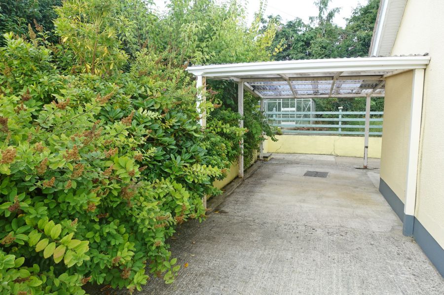 296 Sligo Road