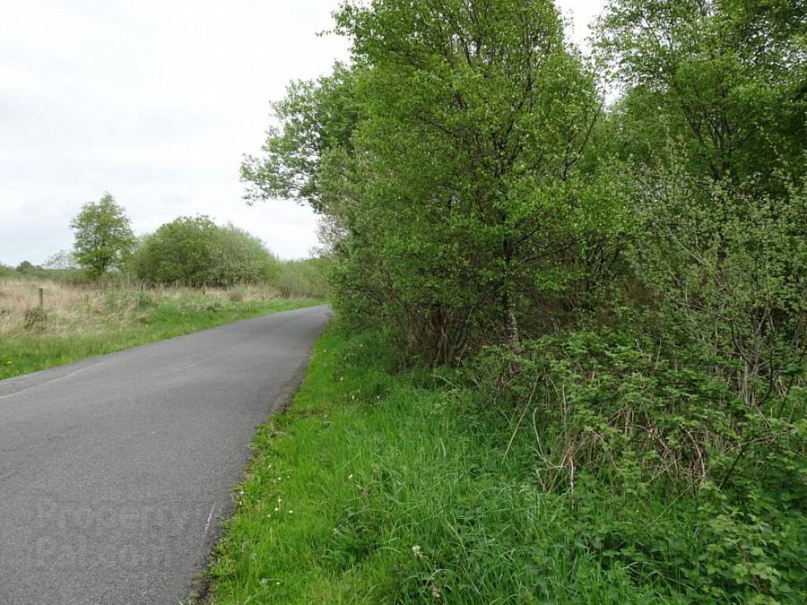 Foxhill Road Killee
