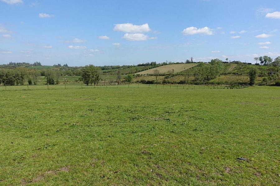 125 Eshnadarragh Road