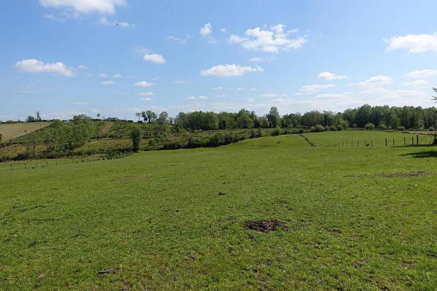 125 Eshnadarragh Road