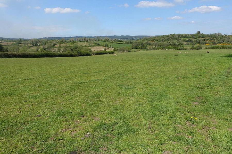 125 Eshnadarragh Road