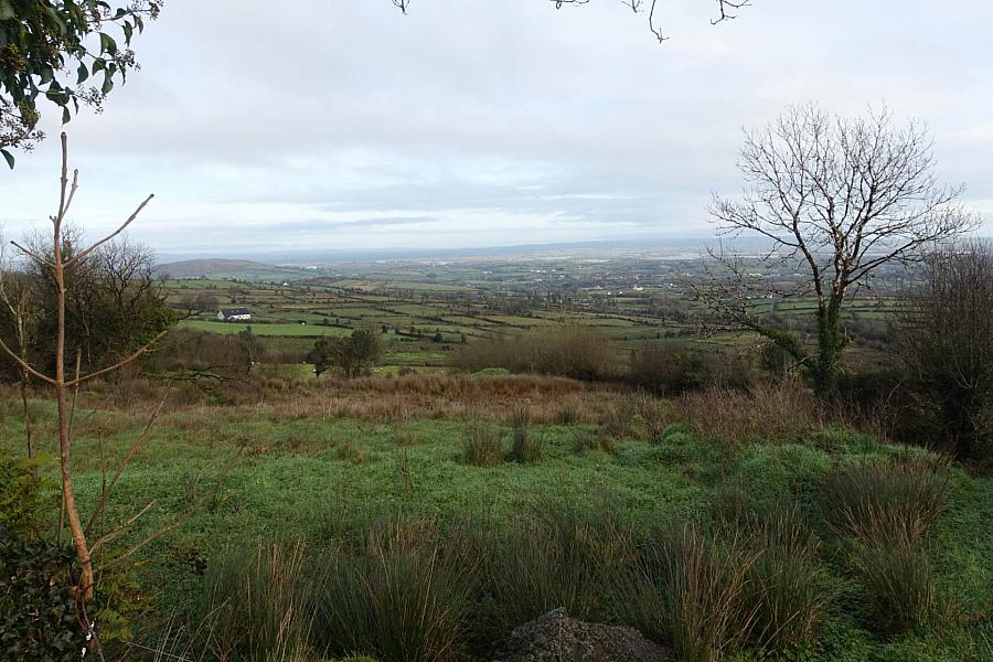 Site At College Road East, Doon