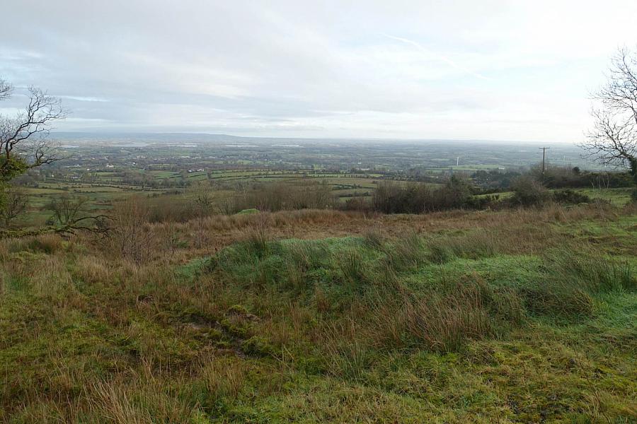 Site At College Road East, Doon