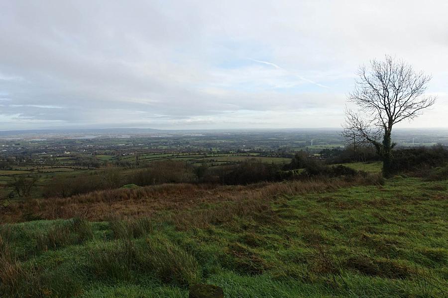 Site At College Road East, Doon