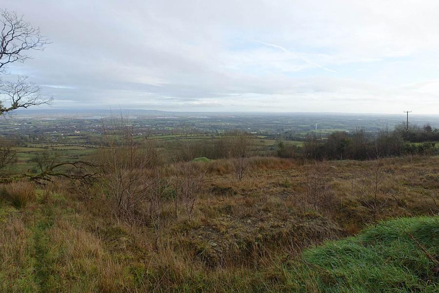 Site At College Road East, Doon