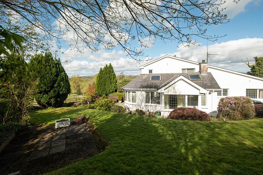 54 Belview Road