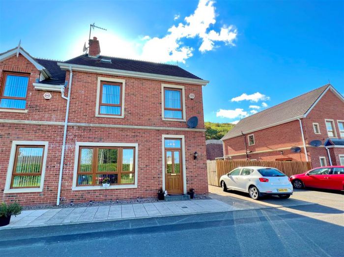 9 Forge Hill Close, Downpatrick Street, Saintfield, BT24 7NJ
