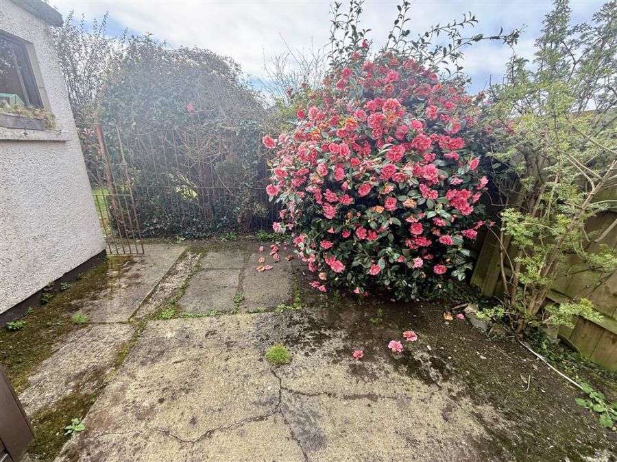 39 Downshire Park East