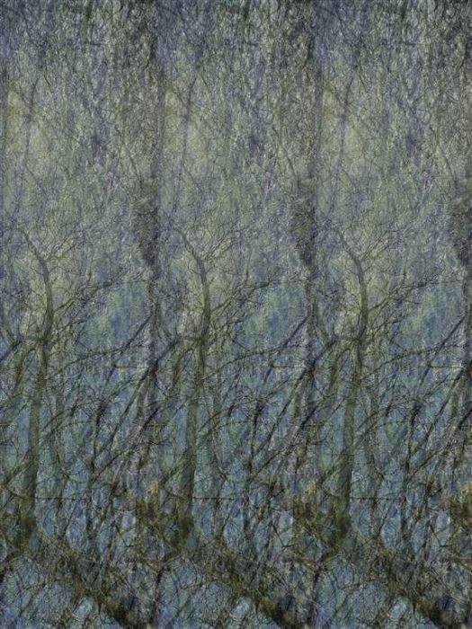 Lisnevenagh Road Lisnevenagh Road