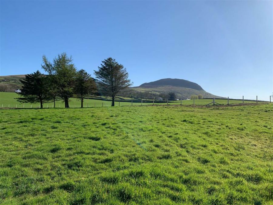 Site 60m Sw Of 56 Shillanavogy Road