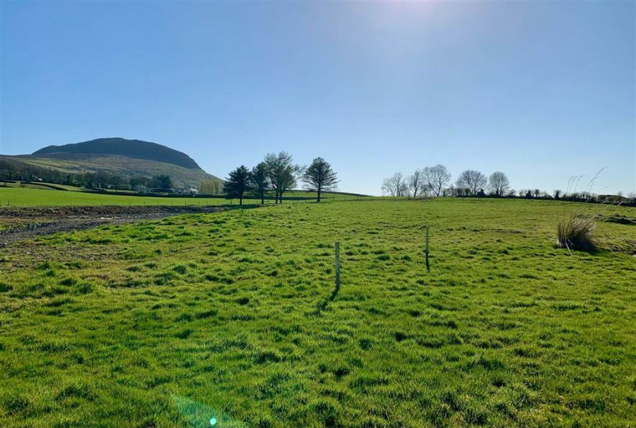 Site Adjacent To 58 Shillanavogy Road
