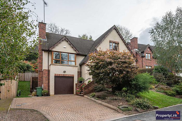 42 Drumman Heights 42 Drumman Heights