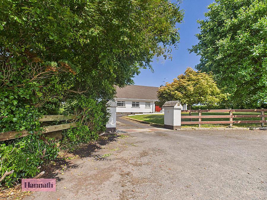 19 Drumgoose Road